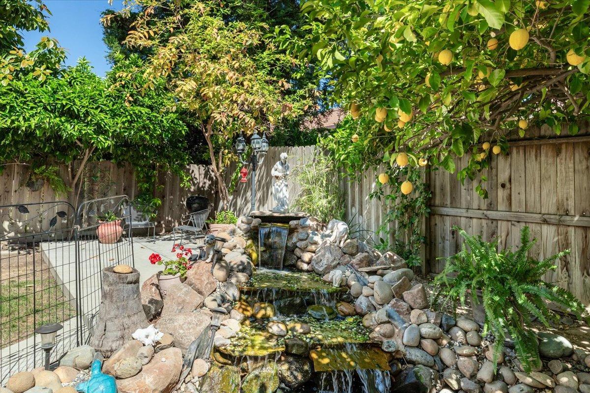 Detail Gallery Image 52 of 59 For 1741 Patton Dr, Modesto,  CA 95356 - 4 Beds | 2/1 Baths