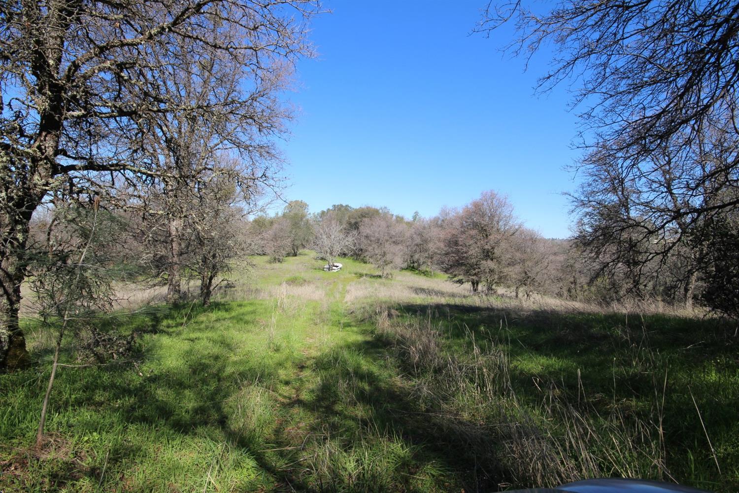 Detail Gallery Image 25 of 50 For 10650 Werner Rd, Auburn,  CA 95603 - – Beds | – Baths