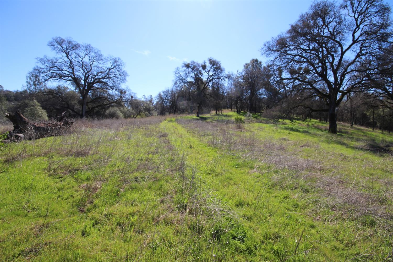 Detail Gallery Image 33 of 50 For 10650 Werner Rd, Auburn,  CA 95603 - – Beds | – Baths