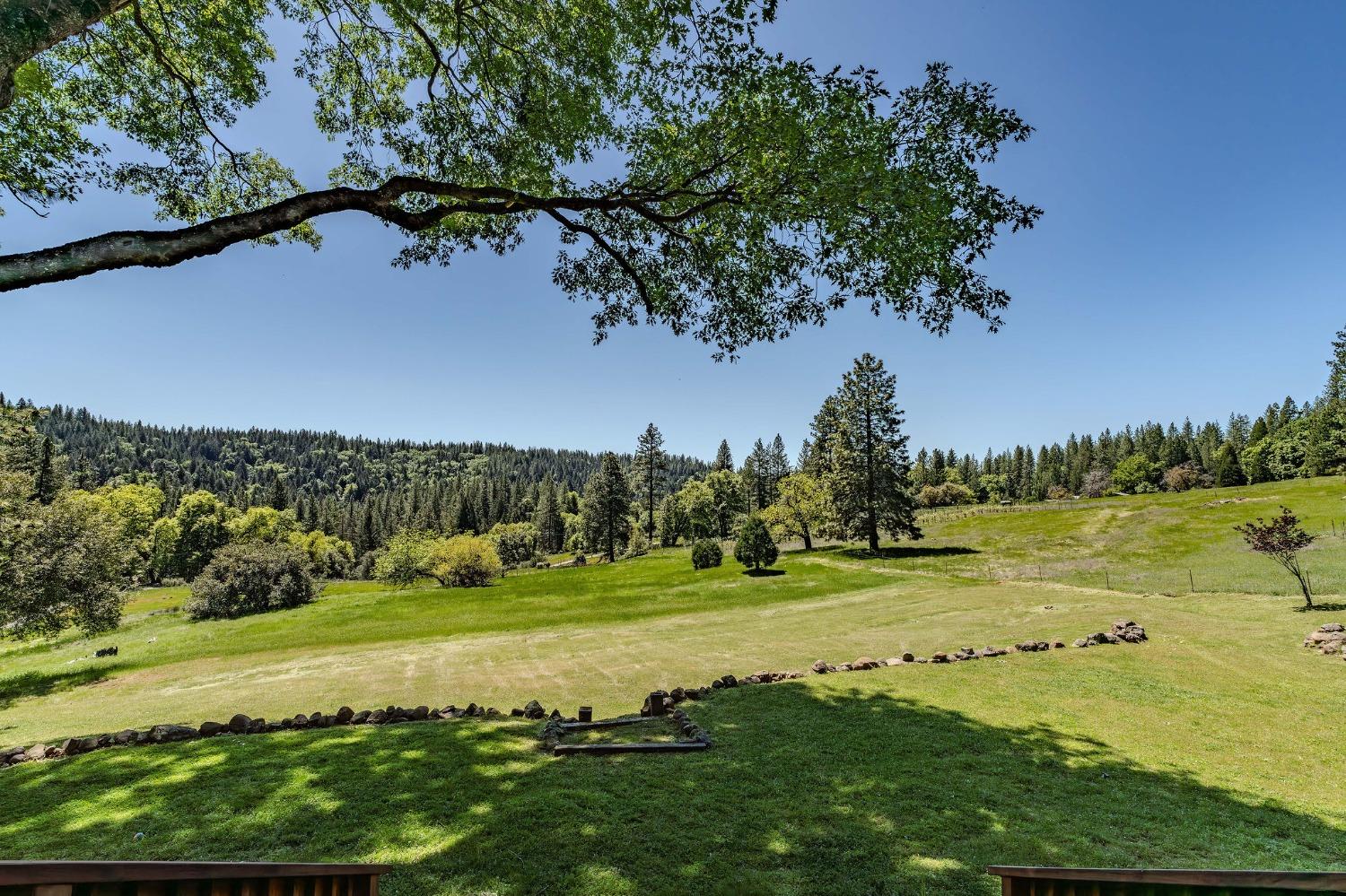 Detail Gallery Image 12 of 83 For 25624 Sherwood Dr, Pioneer,  CA 95666 - 3 Beds | 3 Baths