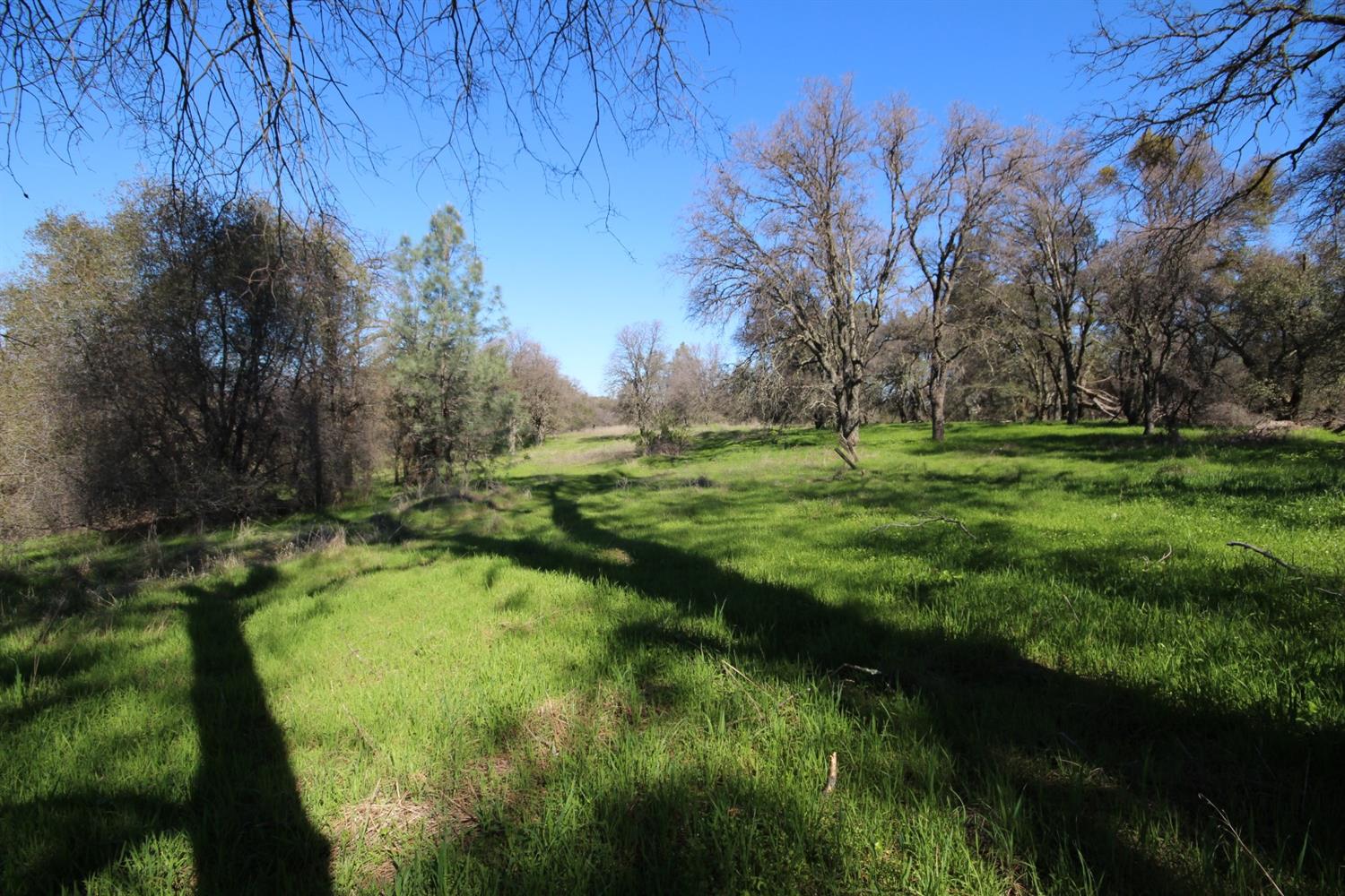 Detail Gallery Image 22 of 50 For 10650 Werner Rd, Auburn,  CA 95603 - – Beds | – Baths