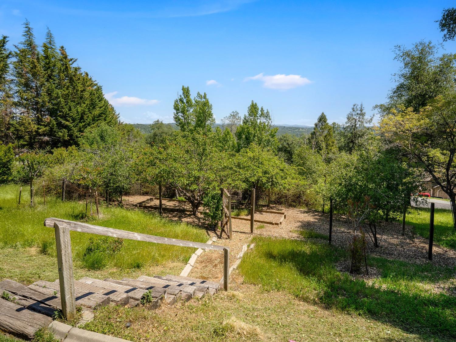 Butterfield Way, Placerville, California image 38