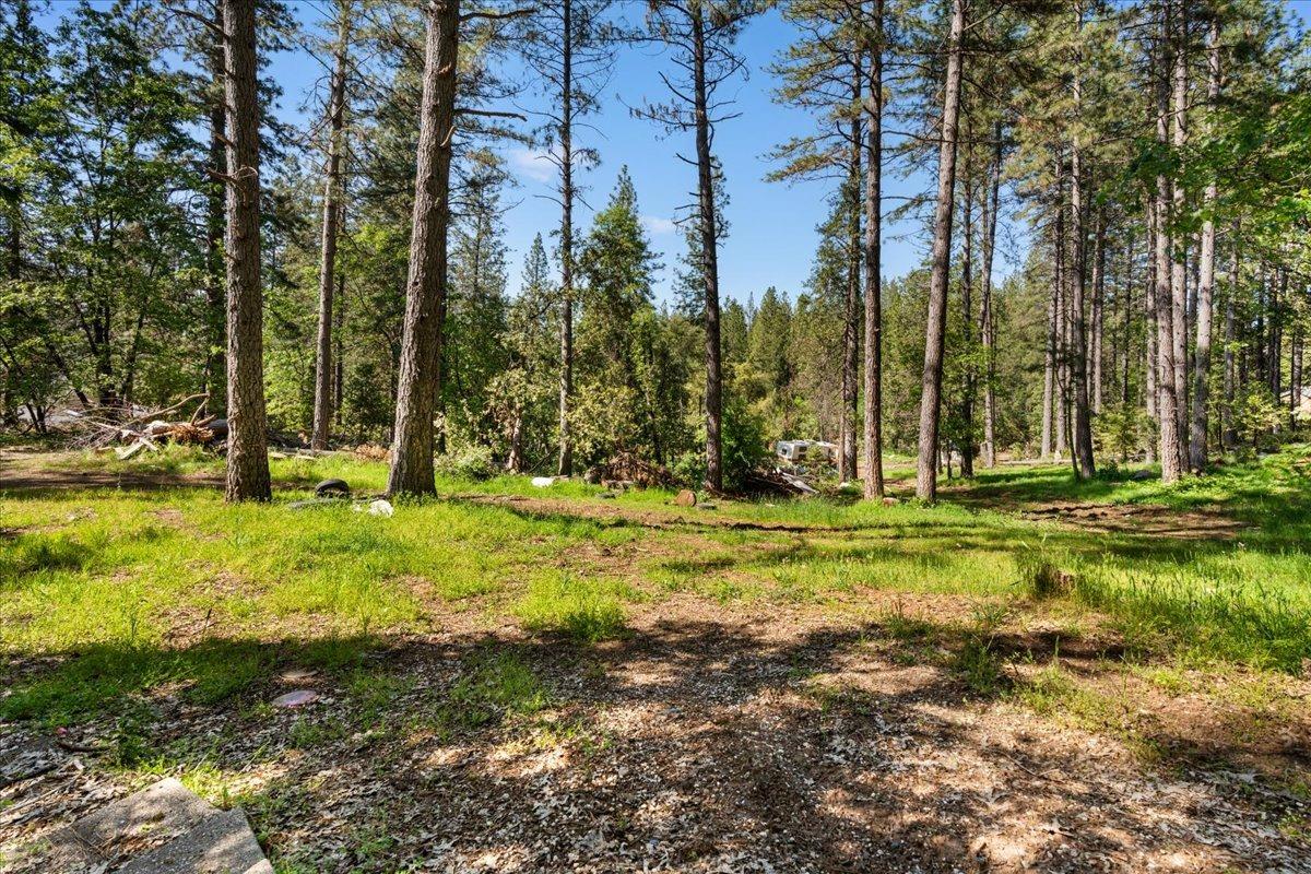 Detail Gallery Image 12 of 17 For 12056 N Bloomfield Rd, Nevada City,  CA 95959 - – Beds | – Baths