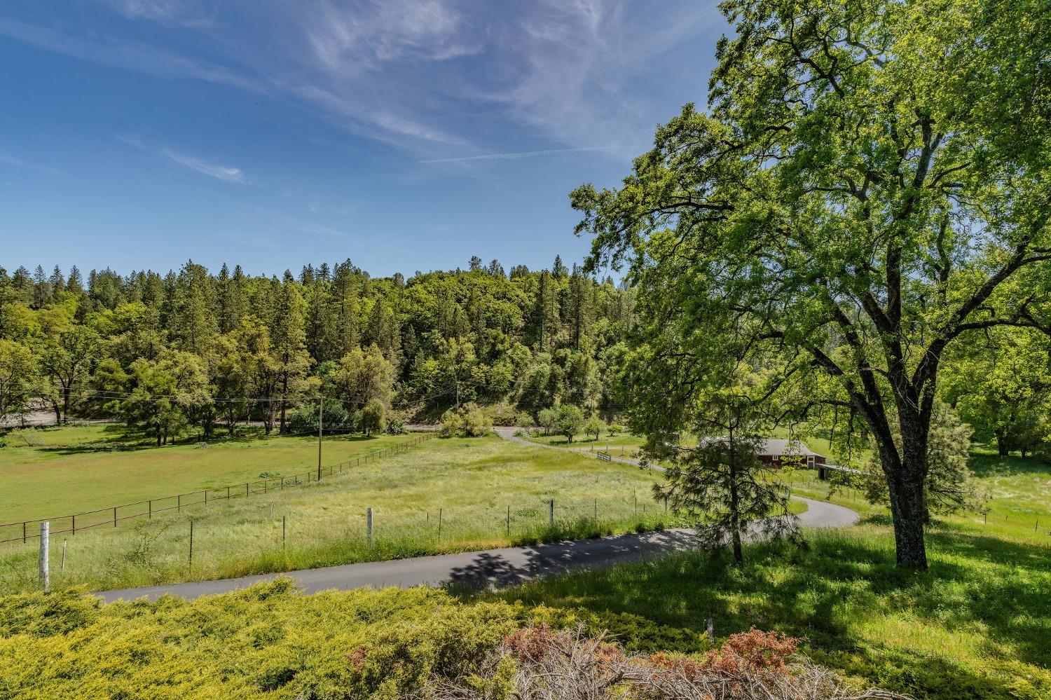 Detail Gallery Image 55 of 77 For 16735 Fiddletown Rd, Fiddletown,  CA 95629 - 3 Beds | 2 Baths