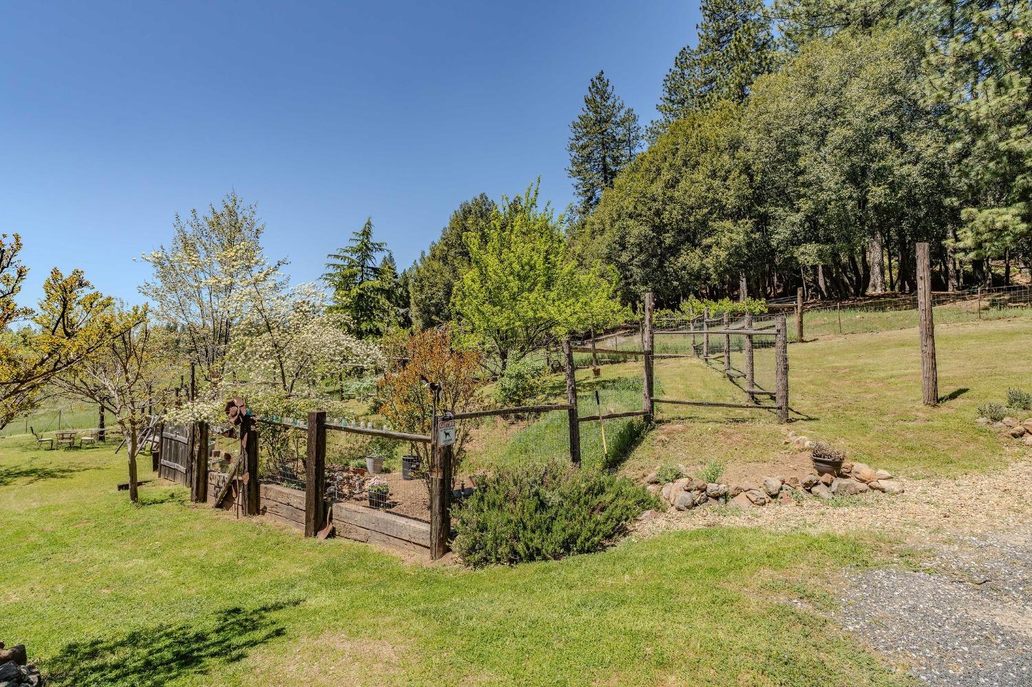 Detail Gallery Image 13 of 83 For 25624 Sherwood Dr, Pioneer,  CA 95666 - 3 Beds | 3 Baths