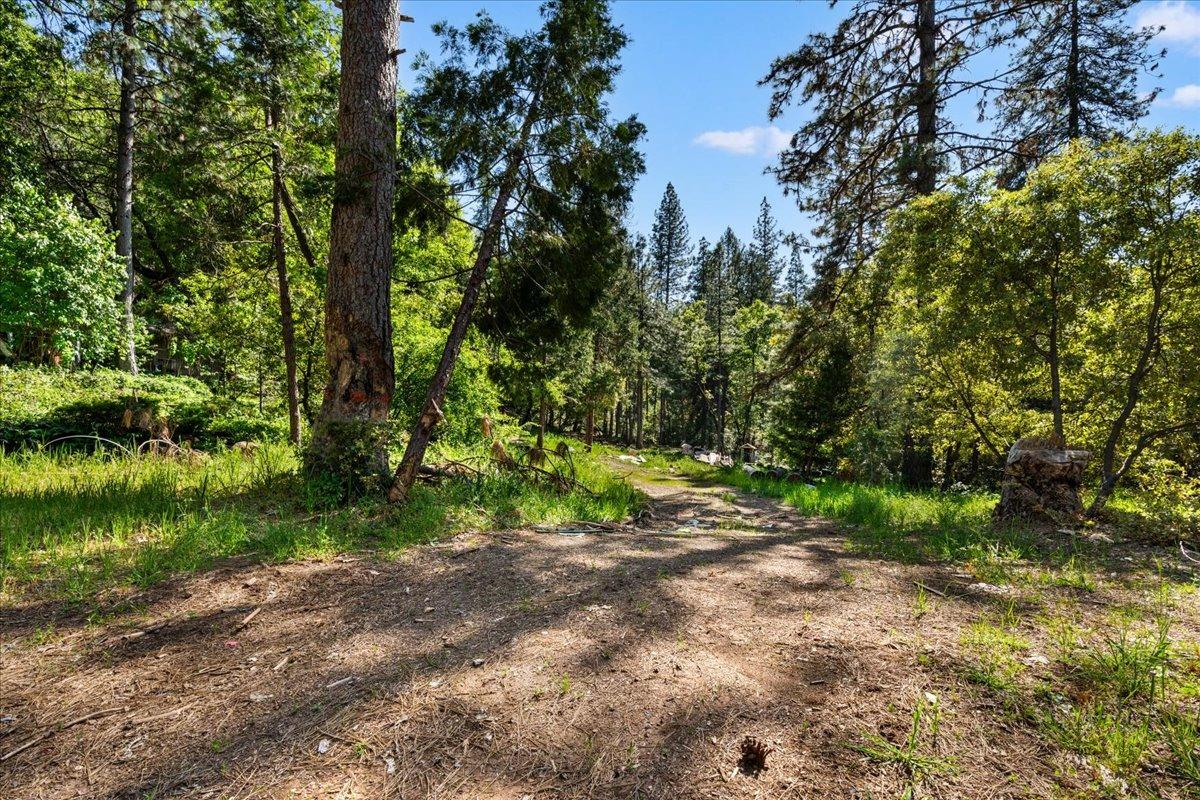 Detail Gallery Image 13 of 17 For 12056 N Bloomfield Rd, Nevada City,  CA 95959 - – Beds | – Baths