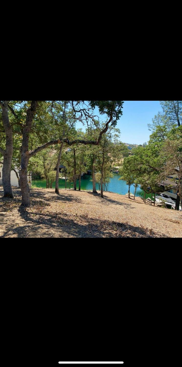 Sunrise Road, Copperopolis, California image 7