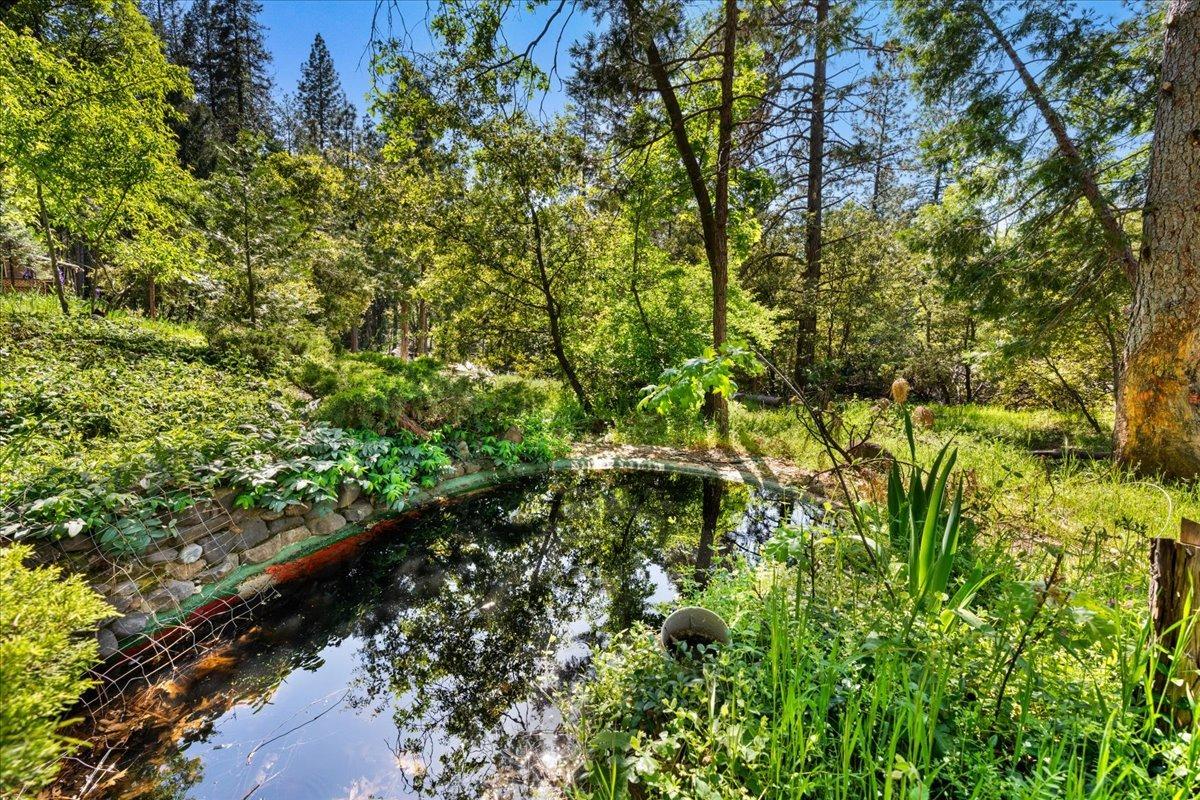 Detail Gallery Image 2 of 17 For 12056 N Bloomfield Rd, Nevada City,  CA 95959 - – Beds | – Baths