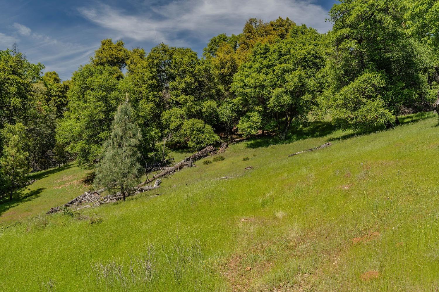 Detail Gallery Image 53 of 77 For 16735 Fiddletown Rd, Fiddletown,  CA 95629 - 3 Beds | 2 Baths