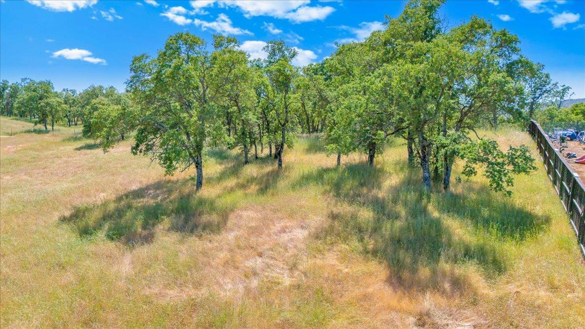 Little John Road, Copperopolis, California image 9