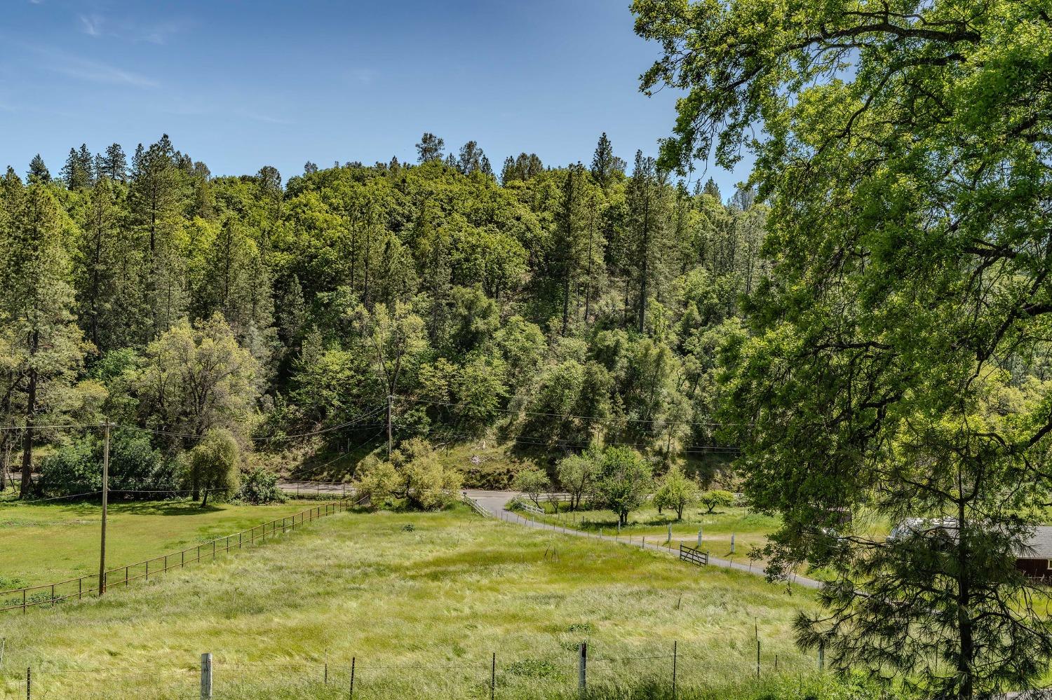 Detail Gallery Image 56 of 77 For 16735 Fiddletown Rd, Fiddletown,  CA 95629 - 3 Beds | 2 Baths