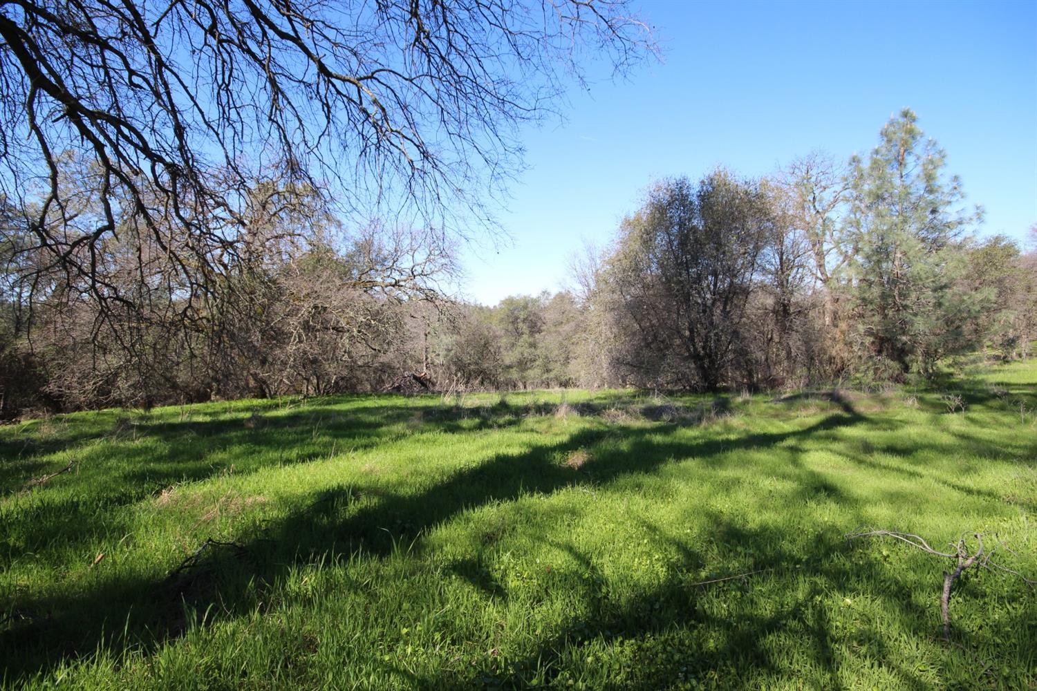 Detail Gallery Image 24 of 50 For 10650 Werner Rd, Auburn,  CA 95603 - – Beds | – Baths