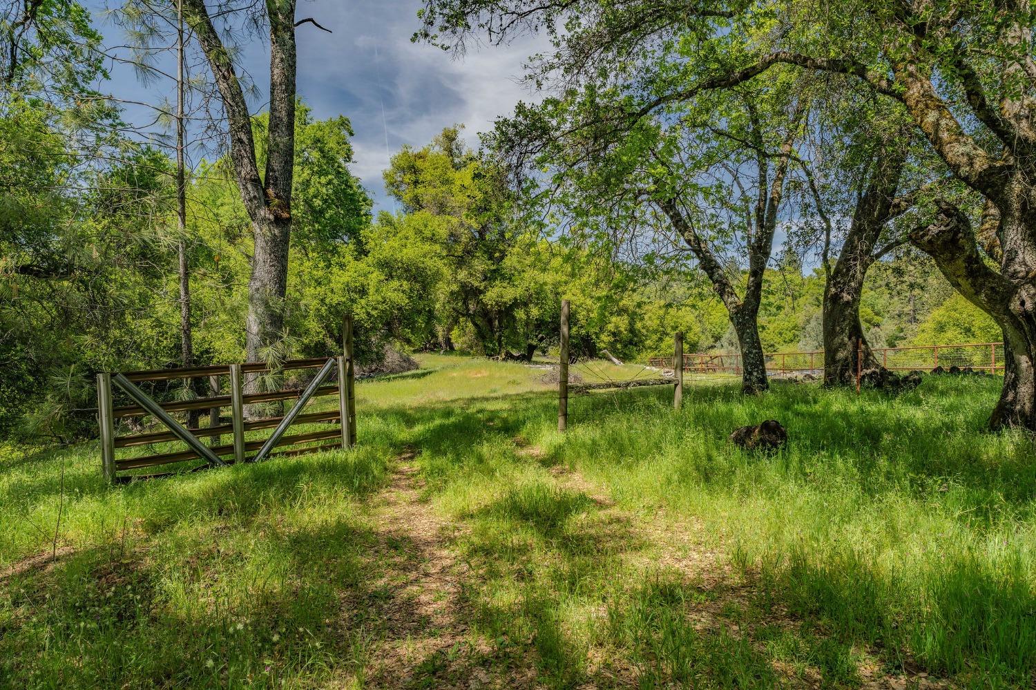 Detail Gallery Image 50 of 77 For 16735 Fiddletown Rd, Fiddletown,  CA 95629 - 3 Beds | 2 Baths