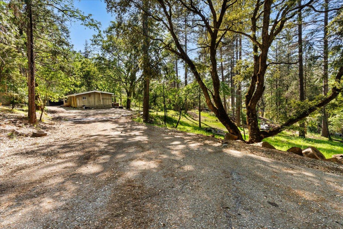 Detail Gallery Image 3 of 17 For 12056 N Bloomfield Rd, Nevada City,  CA 95959 - – Beds | – Baths