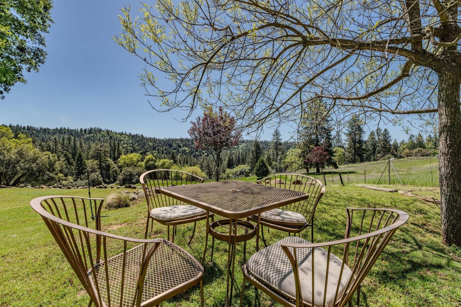 Detail Gallery Image 9 of 83 For 25624 Sherwood Dr, Pioneer,  CA 95666 - 3 Beds | 3 Baths