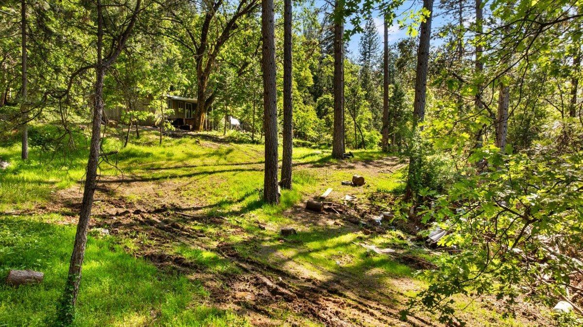 Detail Gallery Image 9 of 17 For 12056 N Bloomfield Rd, Nevada City,  CA 95959 - – Beds | – Baths