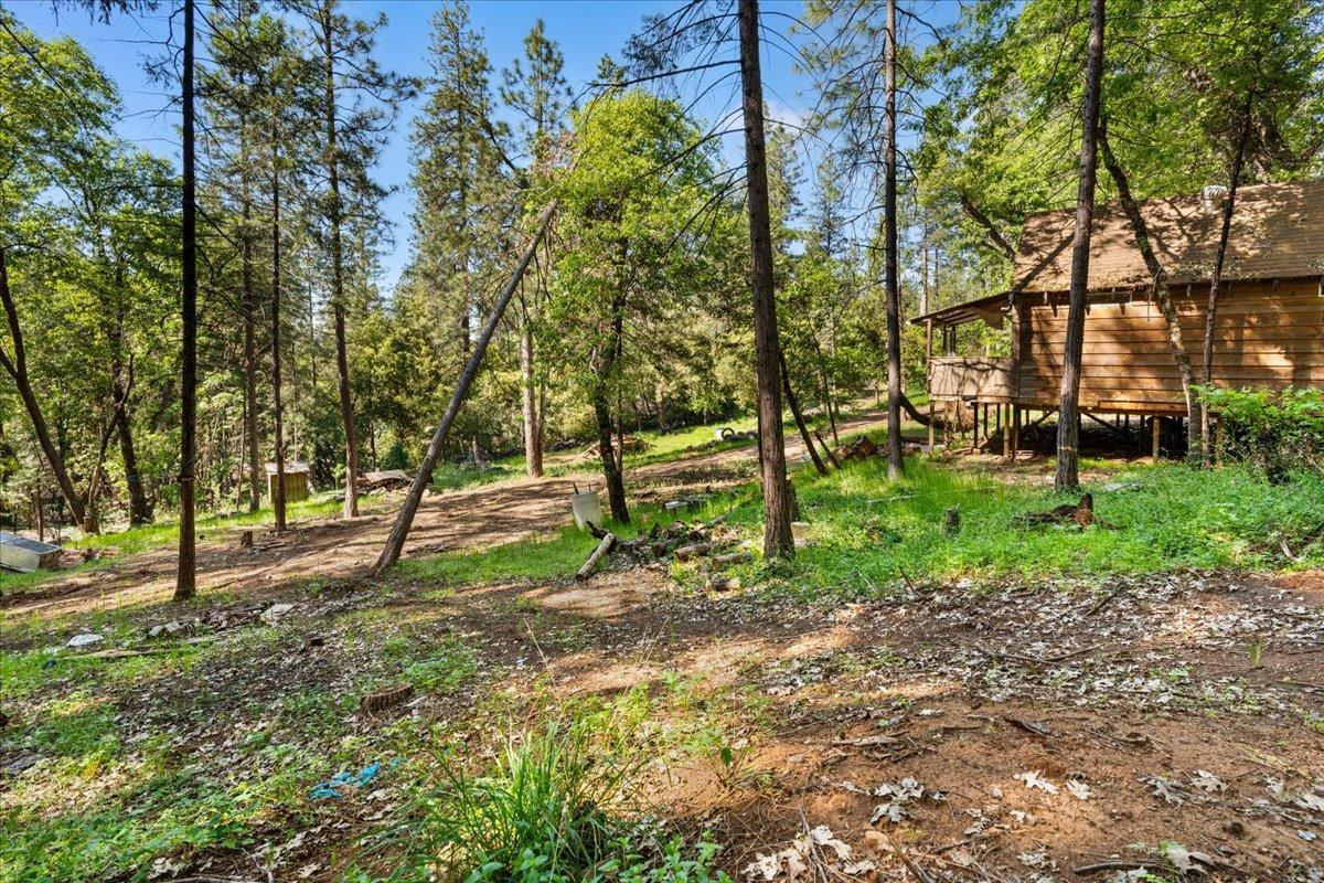 Detail Gallery Image 16 of 17 For 12056 N Bloomfield Rd, Nevada City,  CA 95959 - – Beds | – Baths