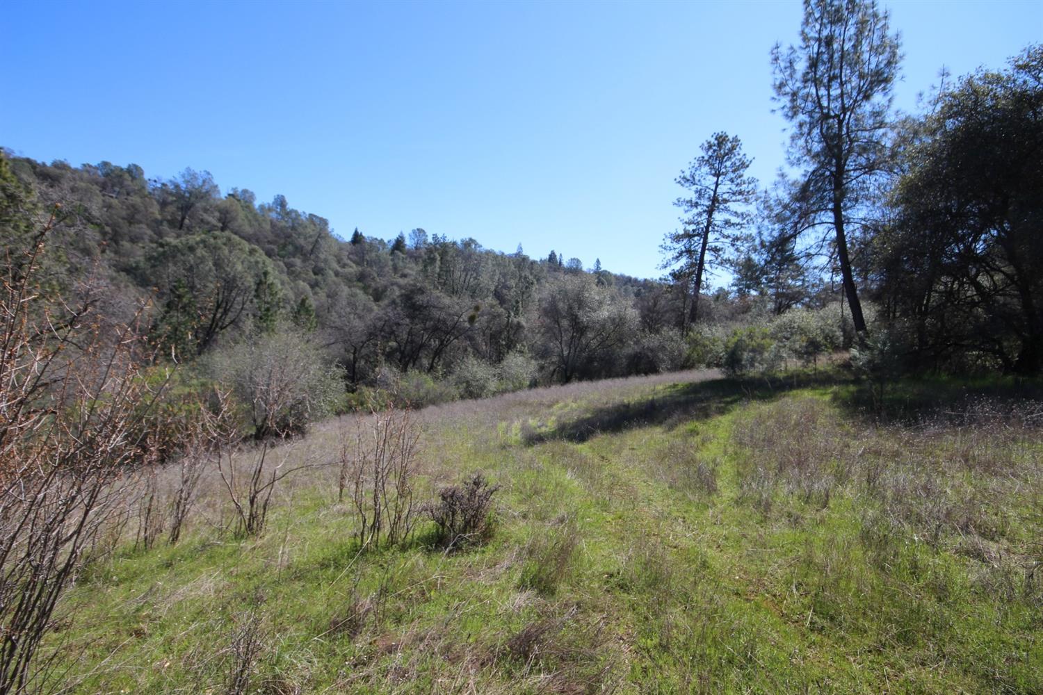 Detail Gallery Image 40 of 50 For 10650 Werner Rd, Auburn,  CA 95603 - – Beds | – Baths