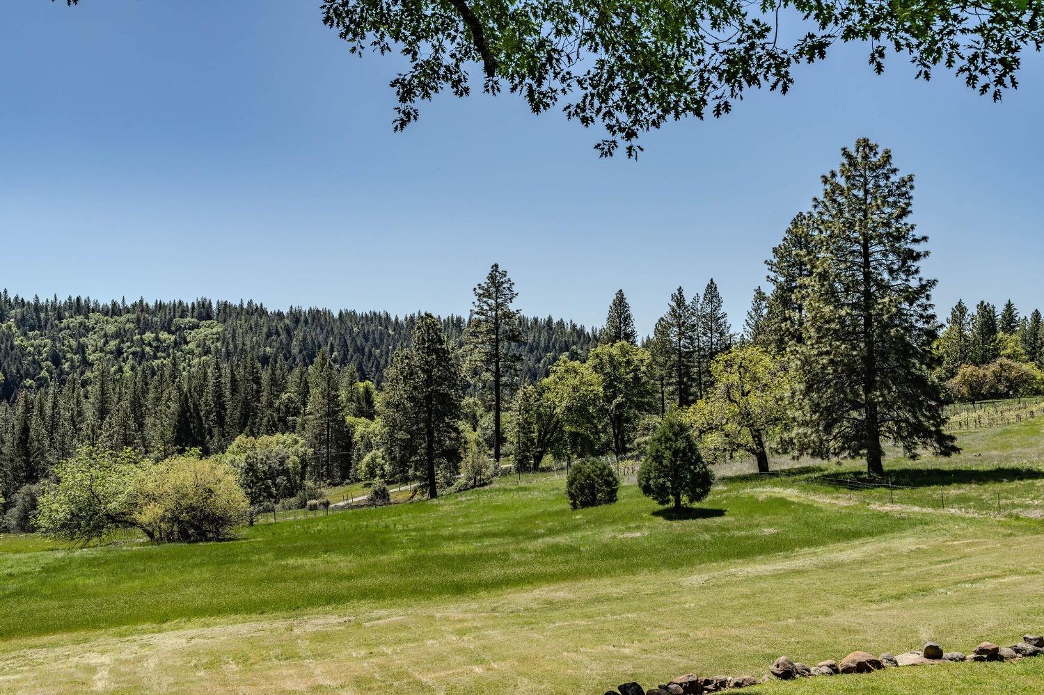 Detail Gallery Image 14 of 83 For 25624 Sherwood Dr, Pioneer,  CA 95666 - 3 Beds | 3 Baths
