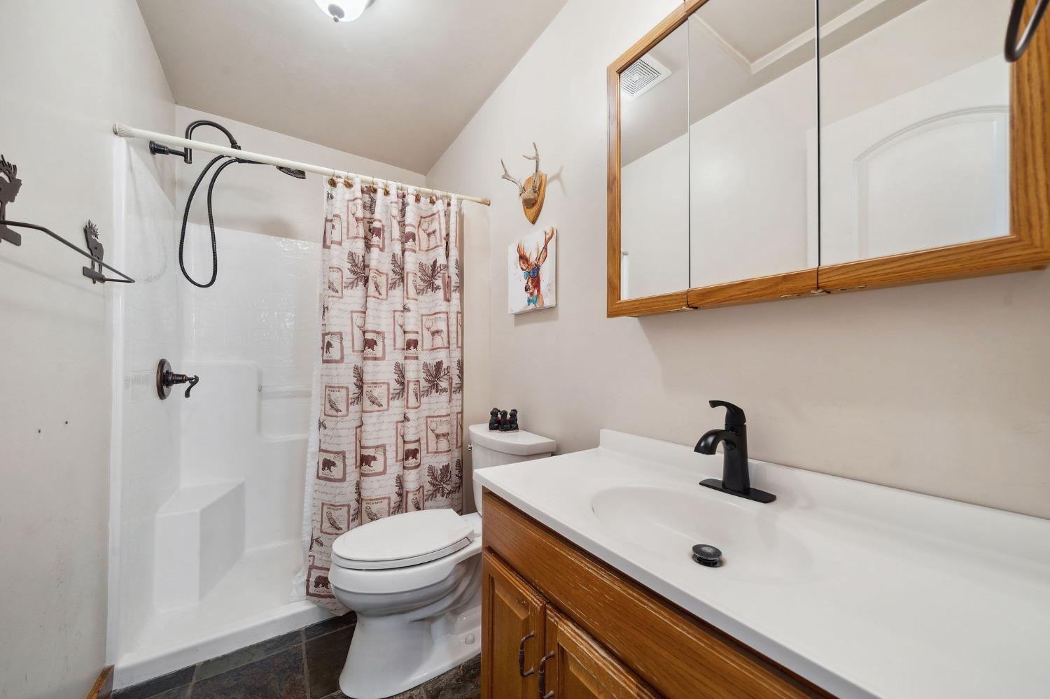 Detail Gallery Image 70 of 83 For 25624 Sherwood Dr, Pioneer,  CA 95666 - 3 Beds | 3 Baths