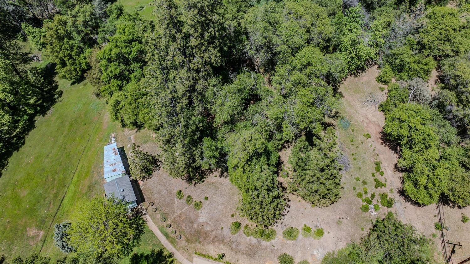 Detail Gallery Image 74 of 77 For 16735 Fiddletown Rd, Fiddletown,  CA 95629 - 3 Beds | 2 Baths