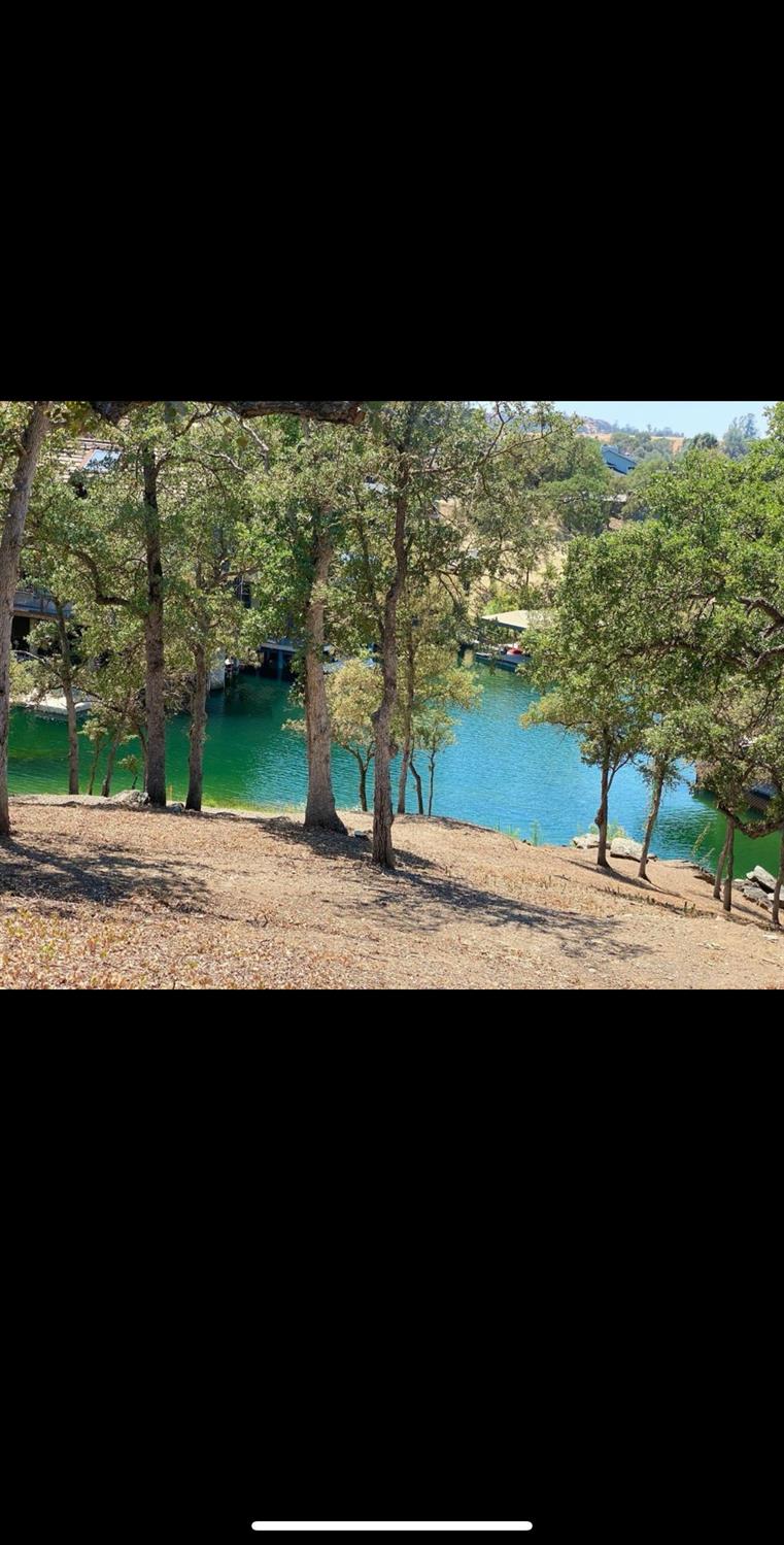 Sunrise Road, Copperopolis, California image 5