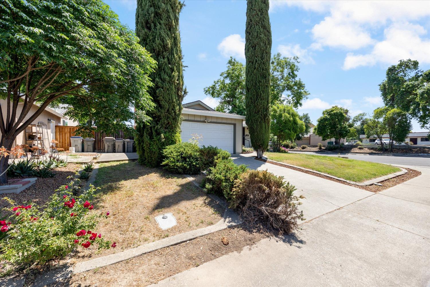 Schuerle Street, Woodland, California image 3