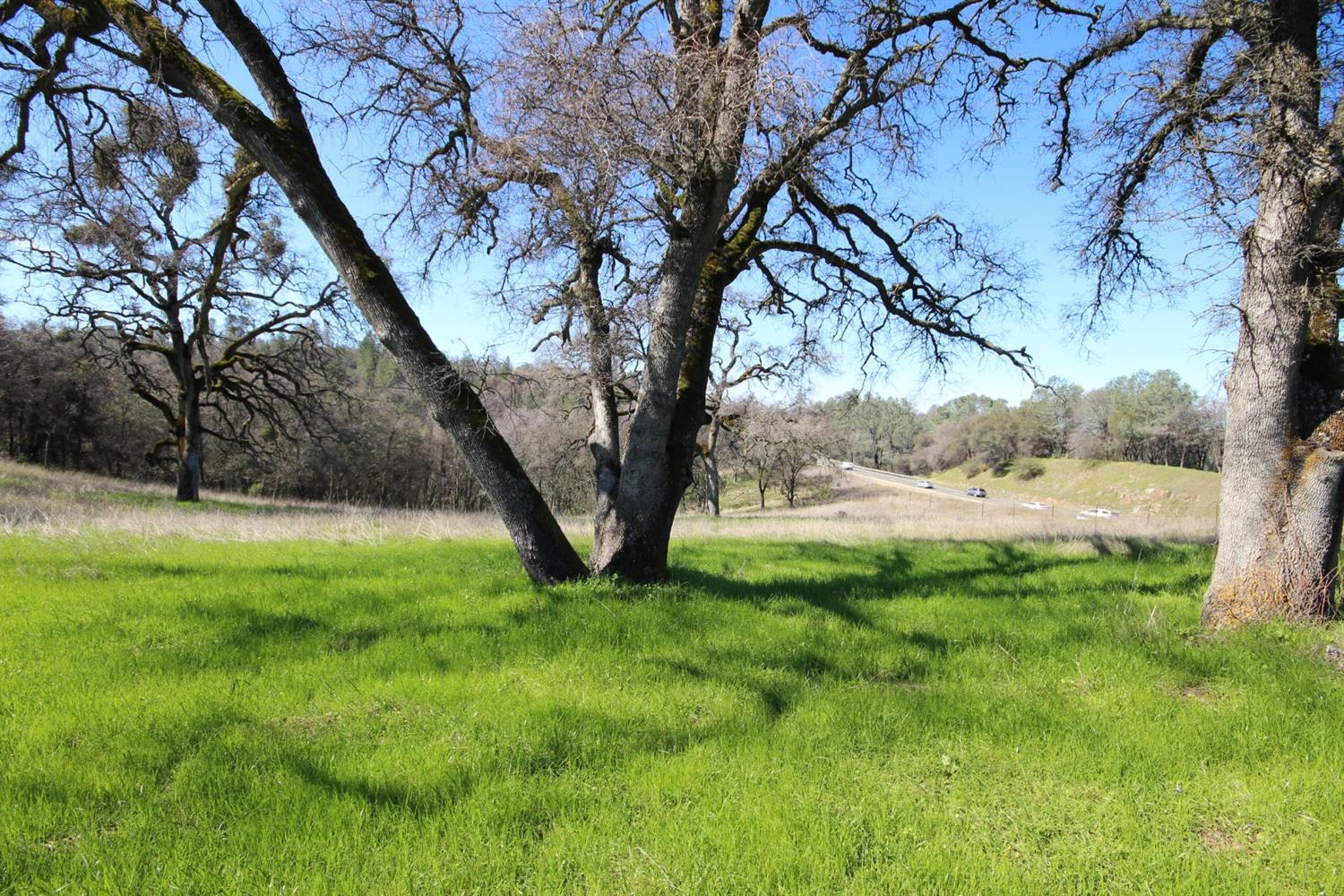 Detail Gallery Image 31 of 50 For 10650 Werner Rd, Auburn,  CA 95603 - – Beds | – Baths