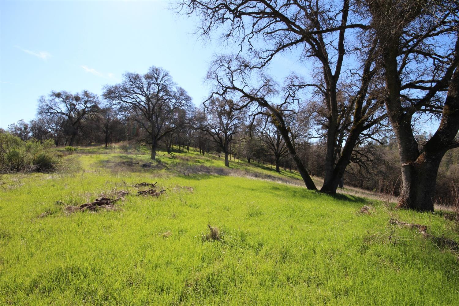Detail Gallery Image 28 of 50 For 10650 Werner Rd, Auburn,  CA 95603 - – Beds | – Baths