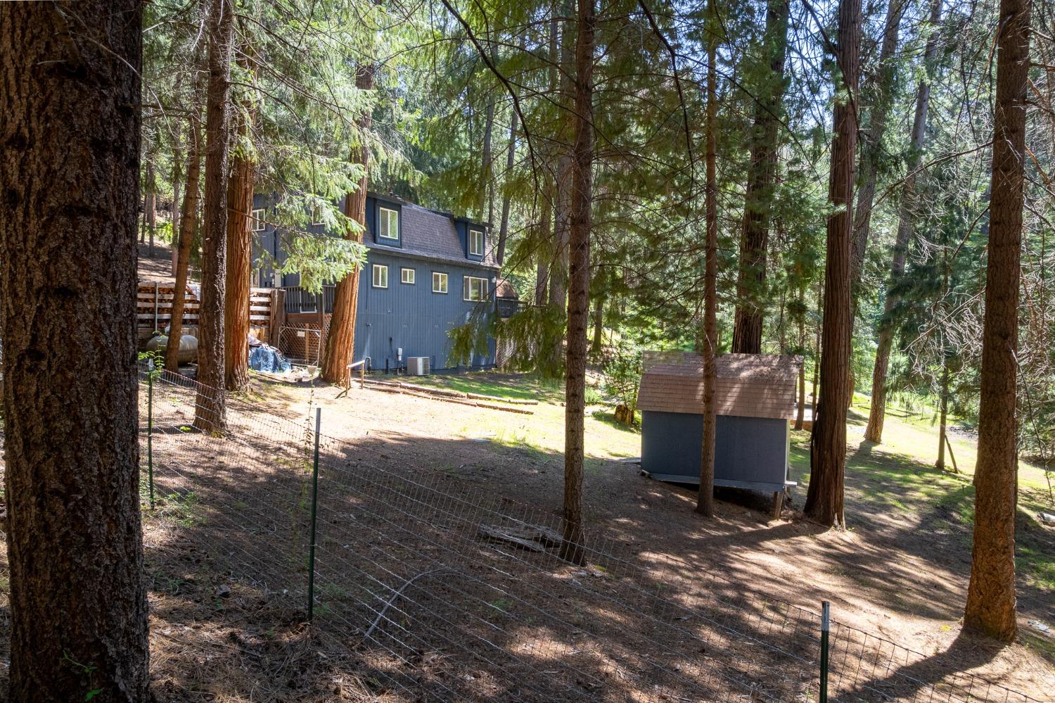 Detail Gallery Image 46 of 54 For 16199 Pioneer Creek Rd, Pioneer,  CA 95666 - 4 Beds | 2 Baths