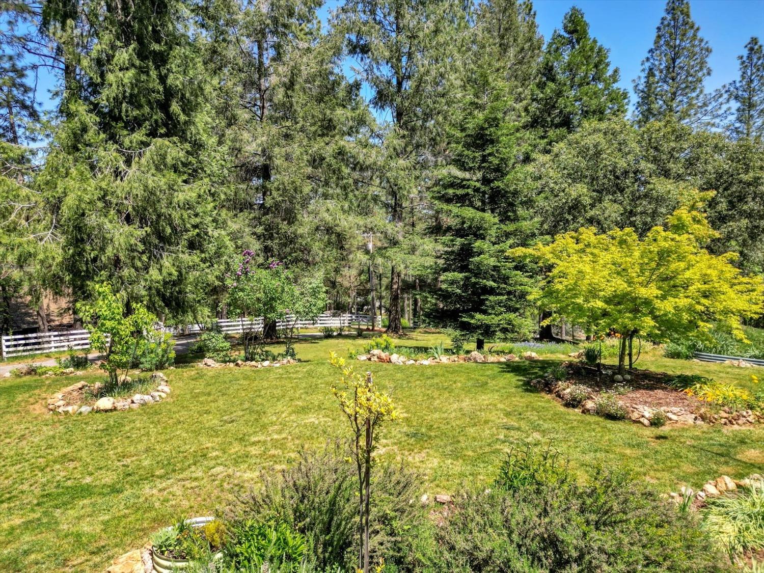 Detail Gallery Image 45 of 61 For 1075 Pine Vista Ln, Meadow Vista,  CA 95722 - 3 Beds | 2 Baths