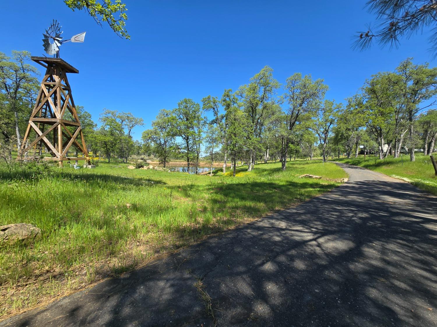 Detail Gallery Image 3 of 78 For 5963 Schilling Rd, Coulterville,  CA 95311 - 3 Beds | 2/1 Baths