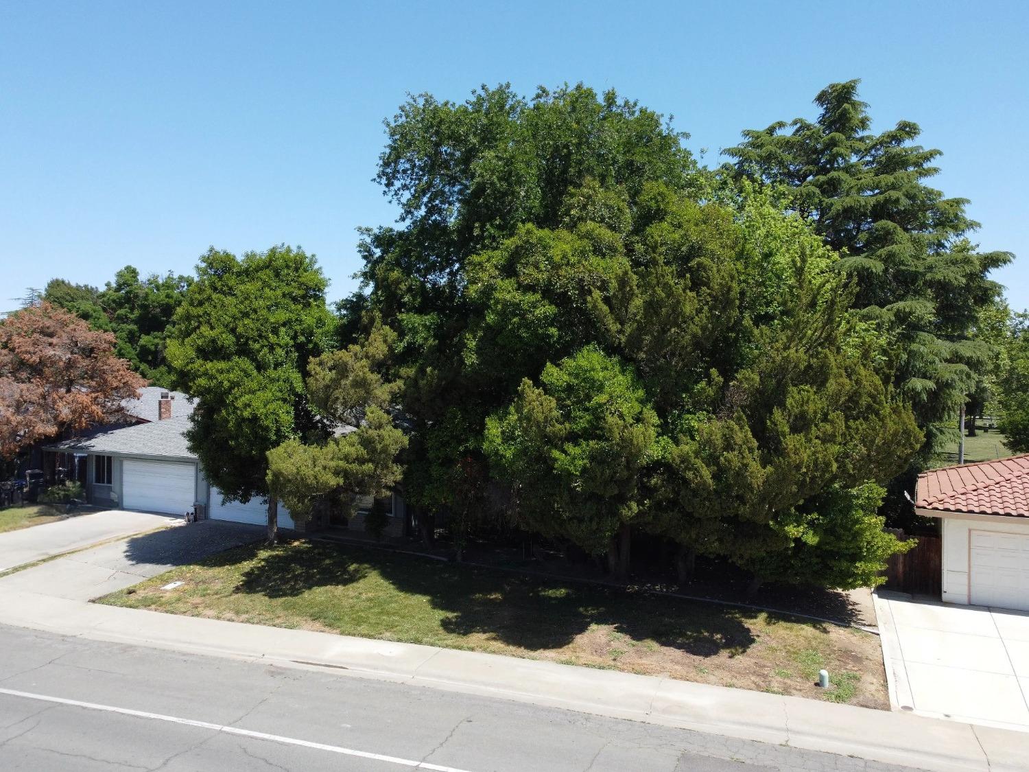 California, Woodland, California image 2
