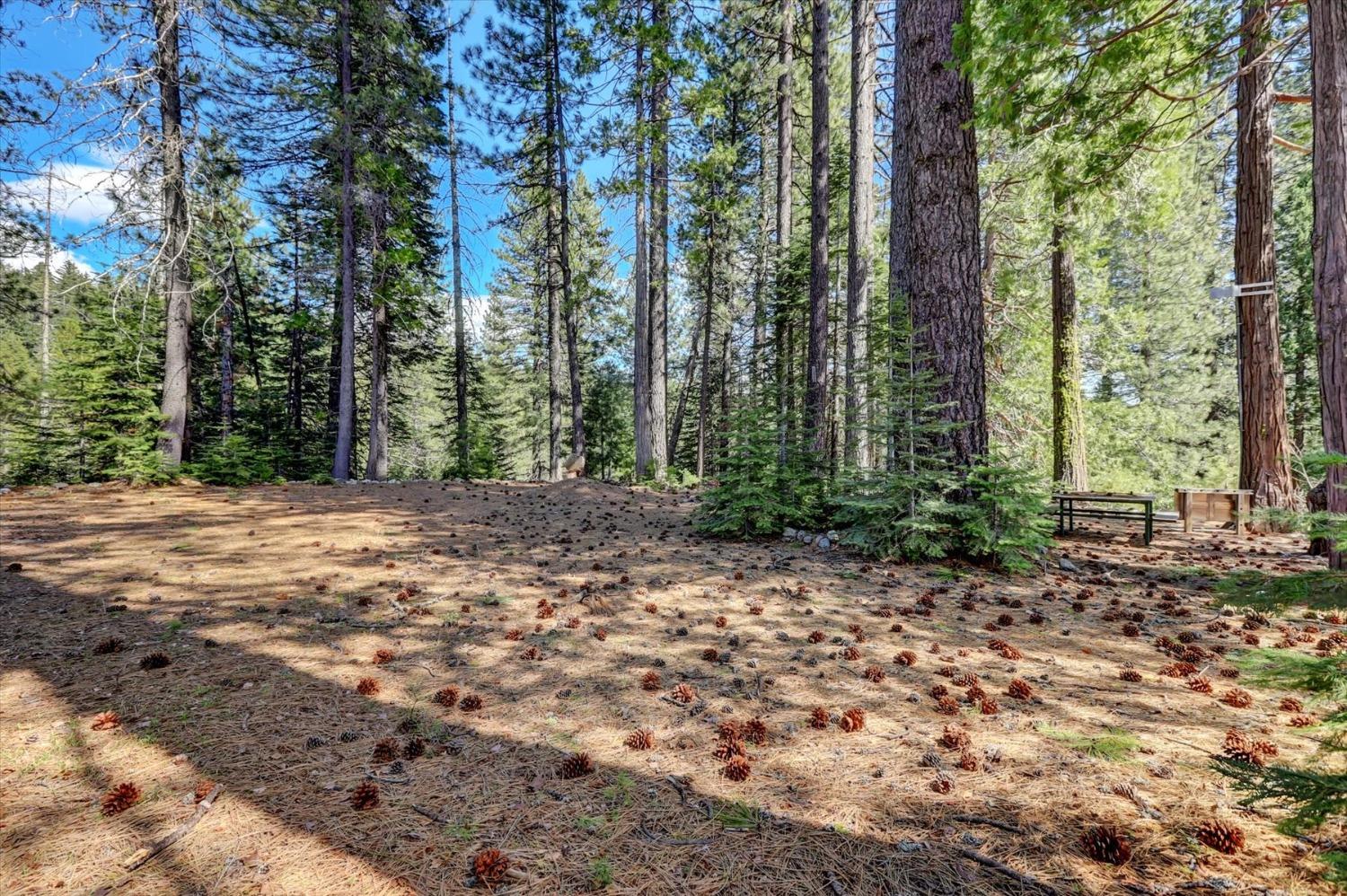 Detail Gallery Image 9 of 59 For 2051 Warren Hill Rd, Strawberry Valley,  CA 95981 - 1 Beds | 1 Baths