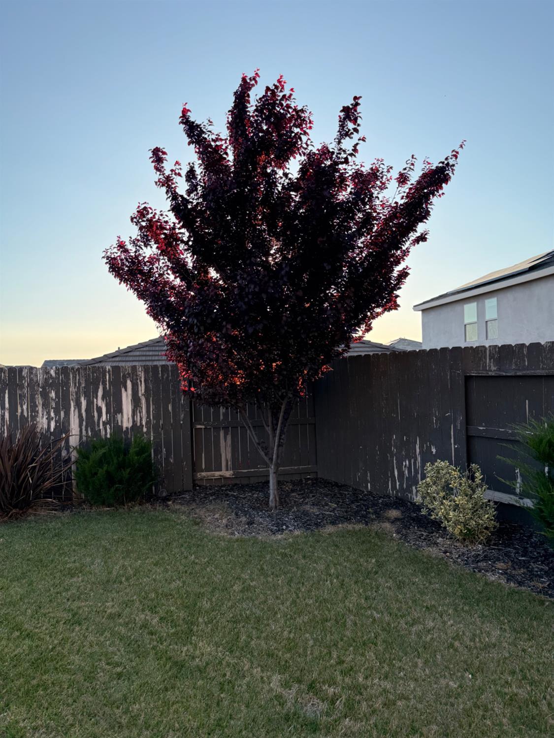 Detail Gallery Image 60 of 69 For 2816 Balaton Ct, Antelope,  CA 95843 - 4 Beds | 2/1 Baths