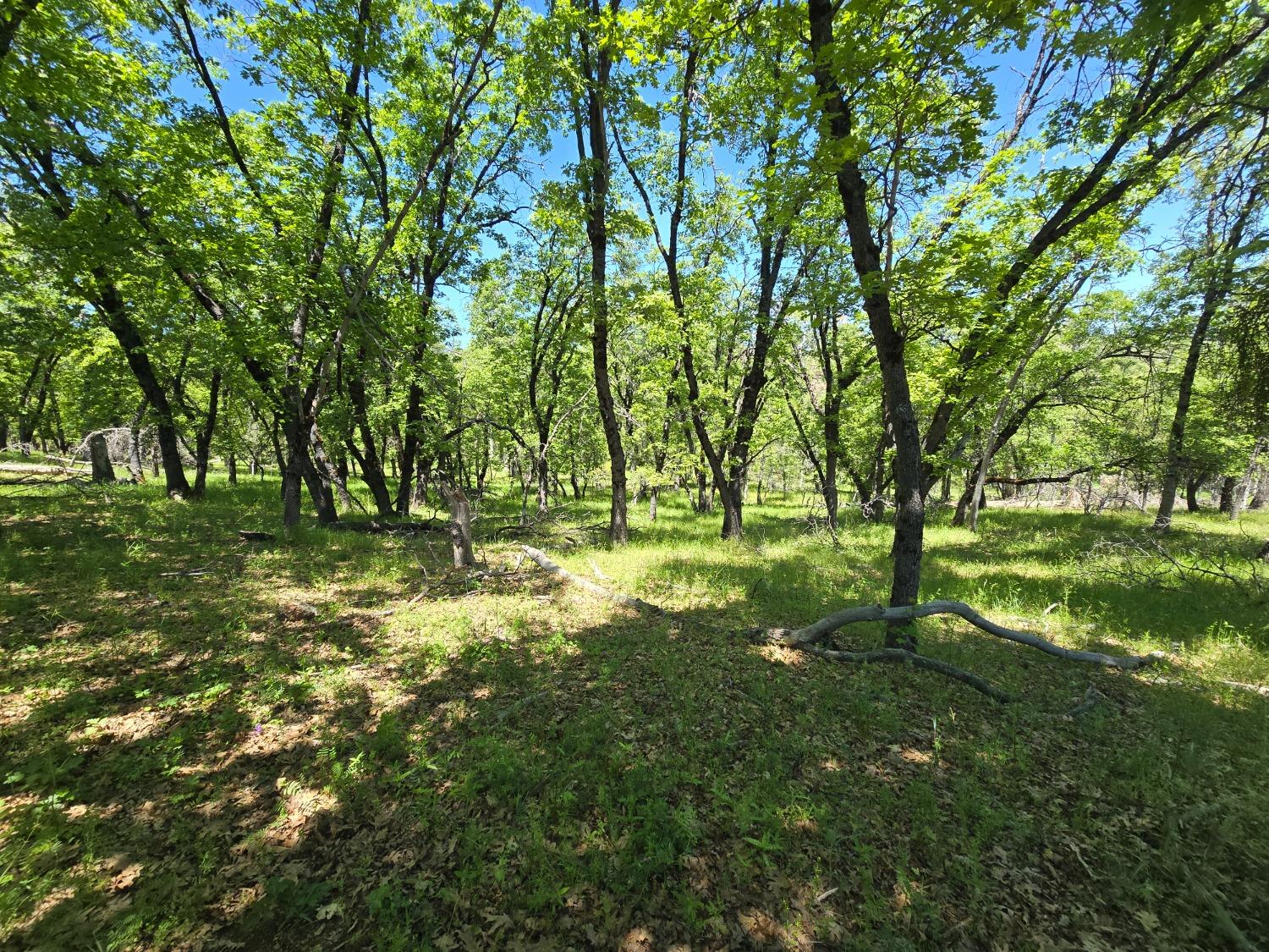 Detail Gallery Image 62 of 78 For 5963 Schilling Rd, Coulterville,  CA 95311 - 3 Beds | 2/1 Baths