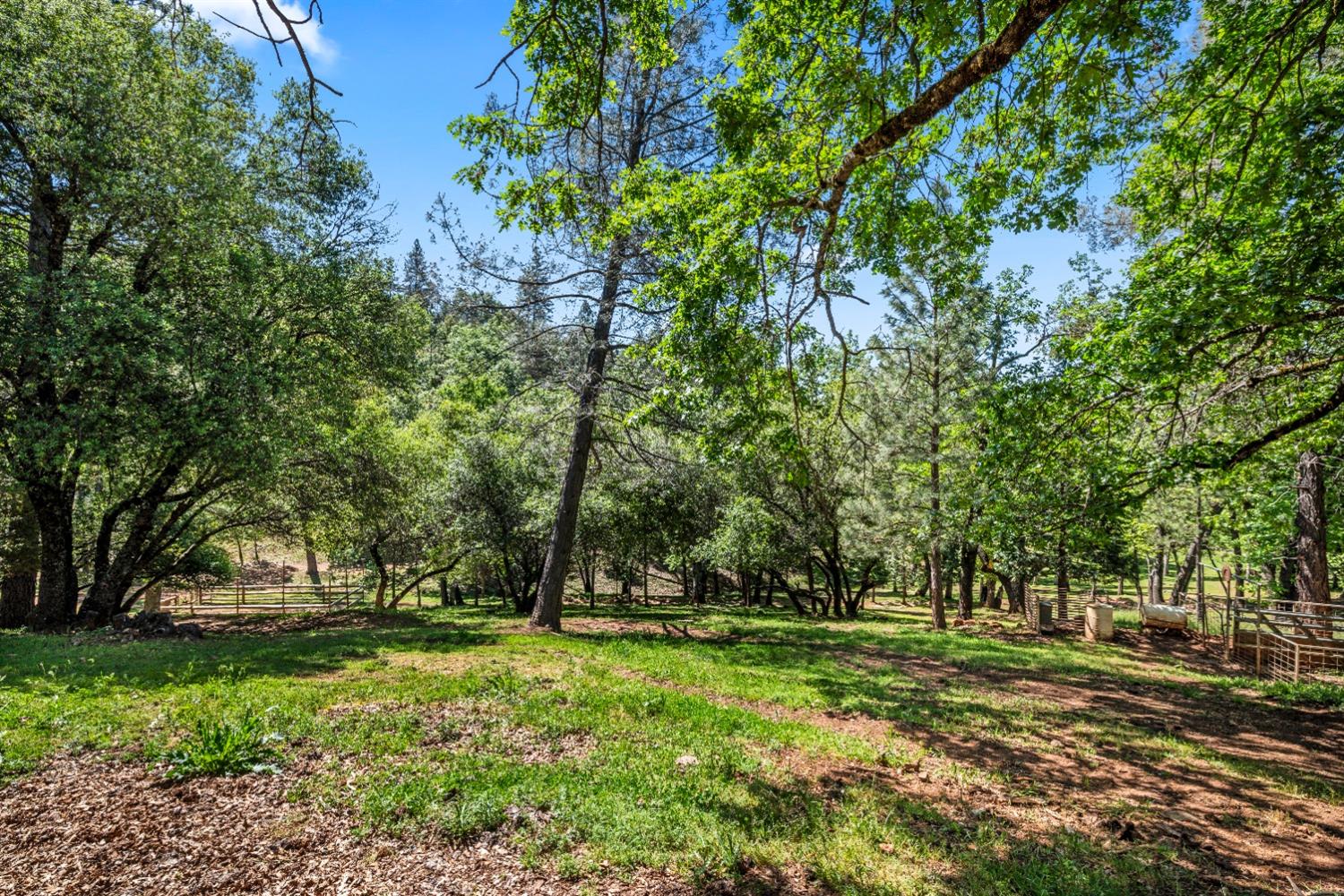 No Walk Road, Placerville, California image 47
