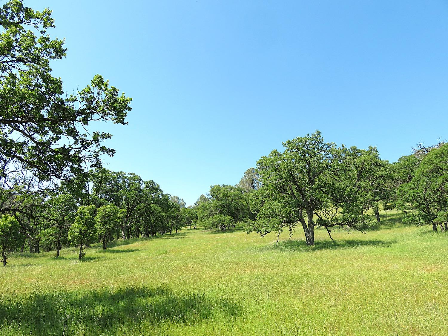 Detail Gallery Image 77 of 98 For 3528 Appaloosa Way, Angels Camp,  CA 95222 - 3 Beds | 2 Baths