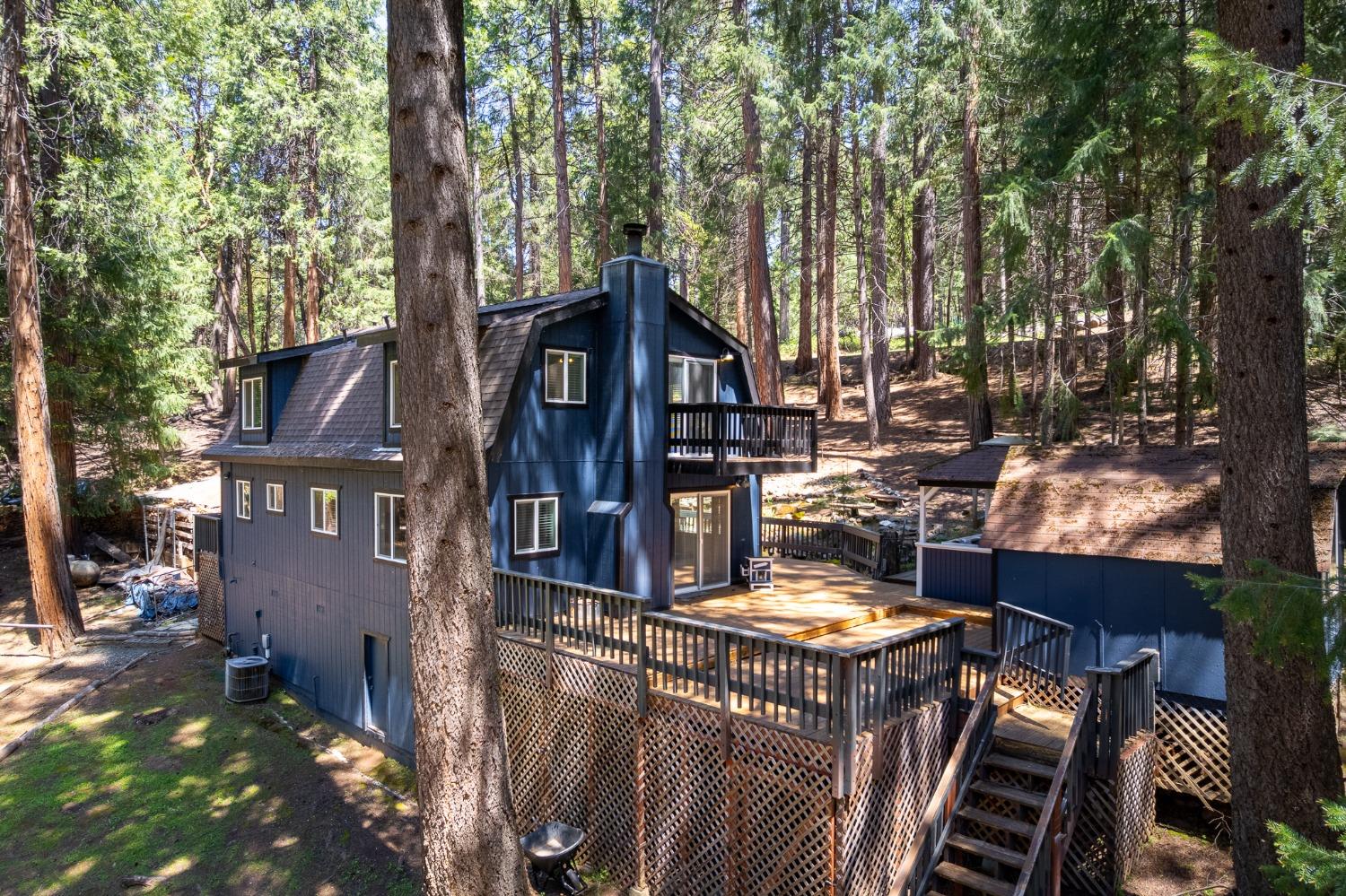 Detail Gallery Image 45 of 54 For 16199 Pioneer Creek Rd, Pioneer,  CA 95666 - 4 Beds | 2 Baths