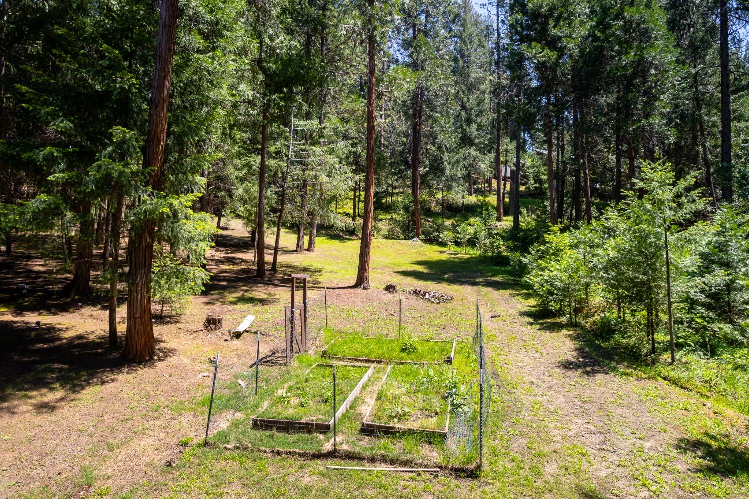 Detail Gallery Image 6 of 54 For 16199 Pioneer Creek Rd, Pioneer,  CA 95666 - 4 Beds | 2 Baths