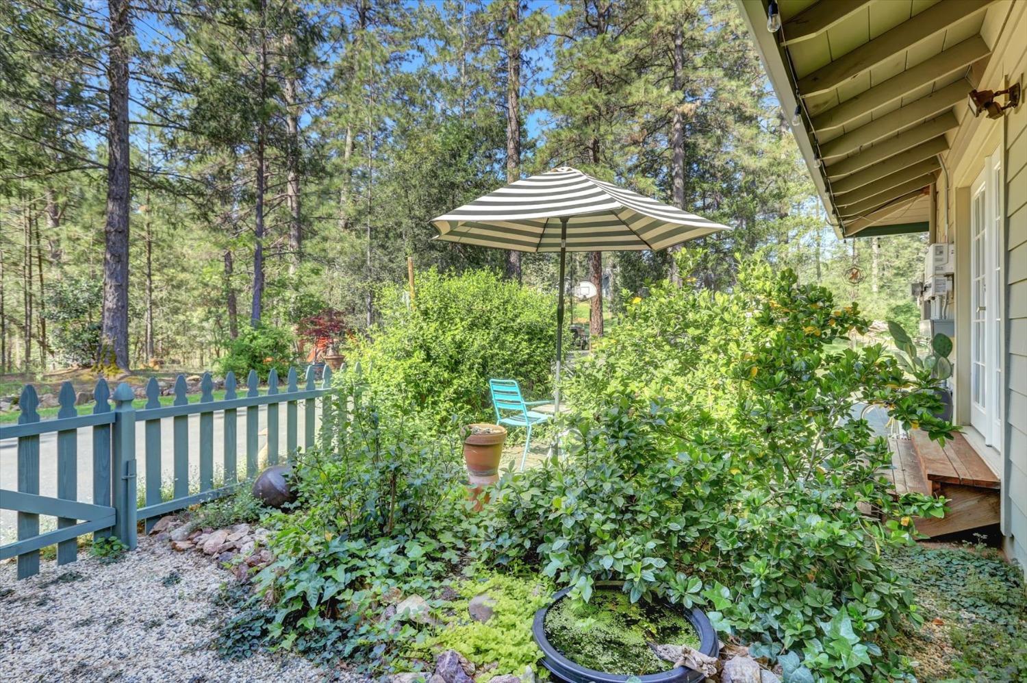 Detail Gallery Image 48 of 61 For 1075 Pine Vista Ln, Meadow Vista,  CA 95722 - 3 Beds | 2 Baths