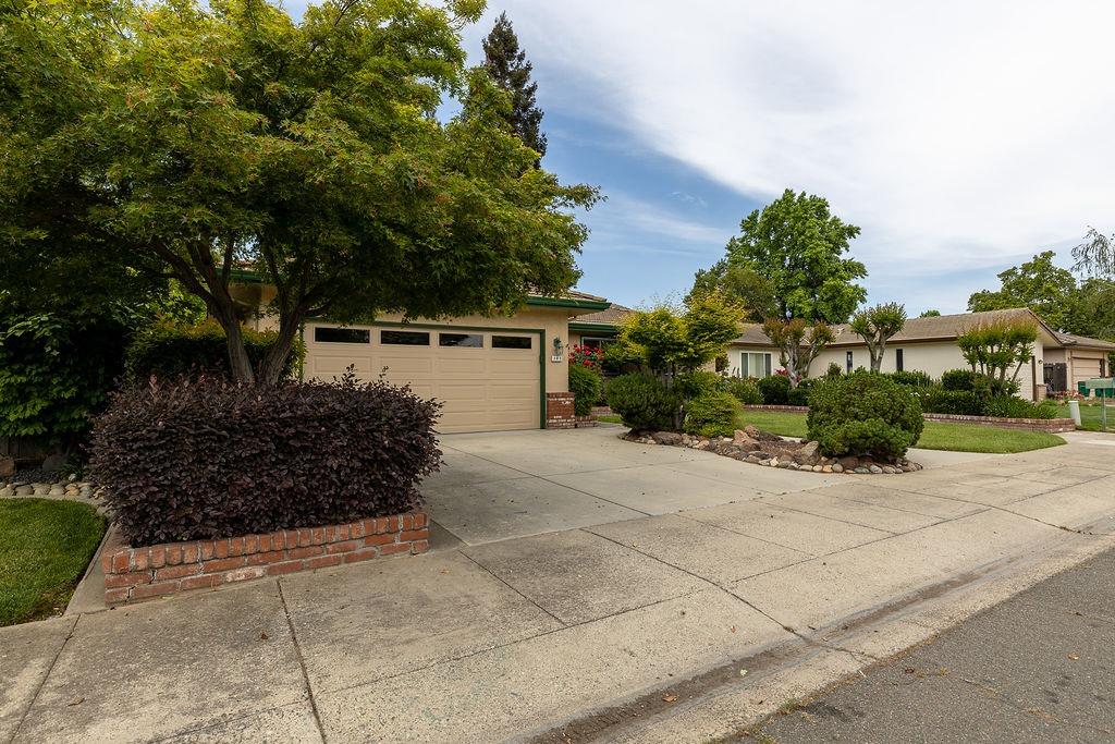 Tioga Drive, Lodi, California image 3