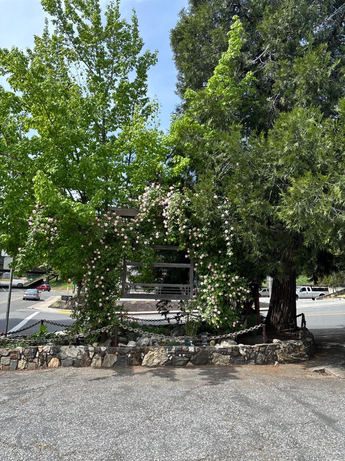 Detail Gallery Image 48 of 68 For 526 Mill St, Grass Valley,  CA 95945 - – Beds | – Baths