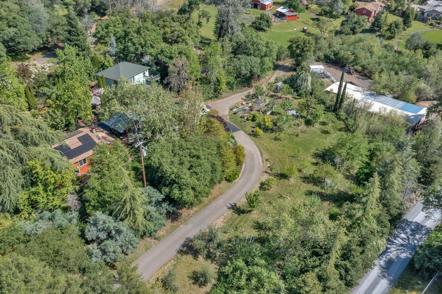 Gold Hill Road, Placerville, California image 39