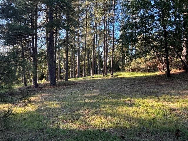 Detail Gallery Image 1 of 12 For 20035 Redwood Ct, Foresthill,  CA 95631 - – Beds | – Baths