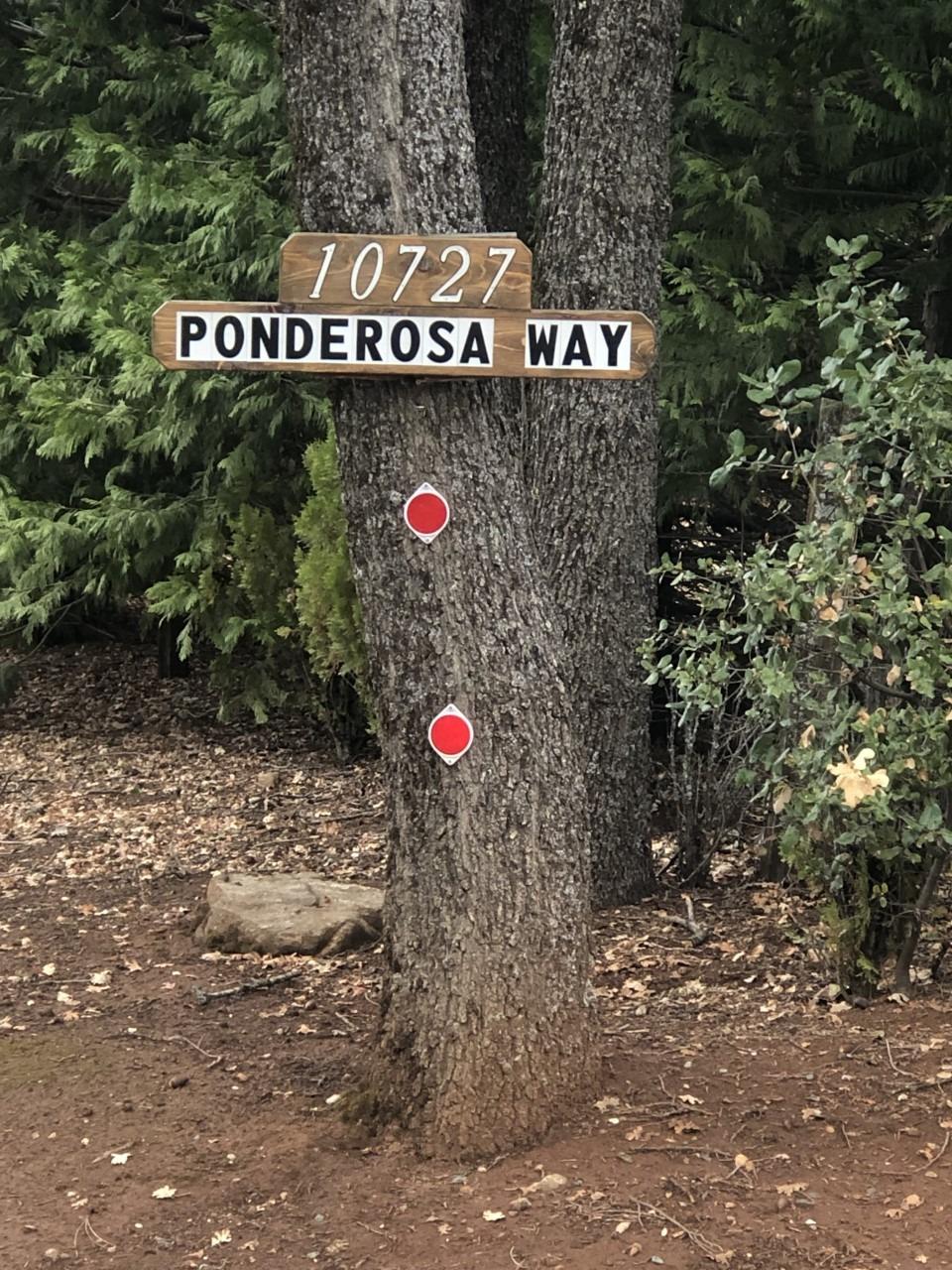 Ponderosa Way, Mokelumne Hill, California image 12