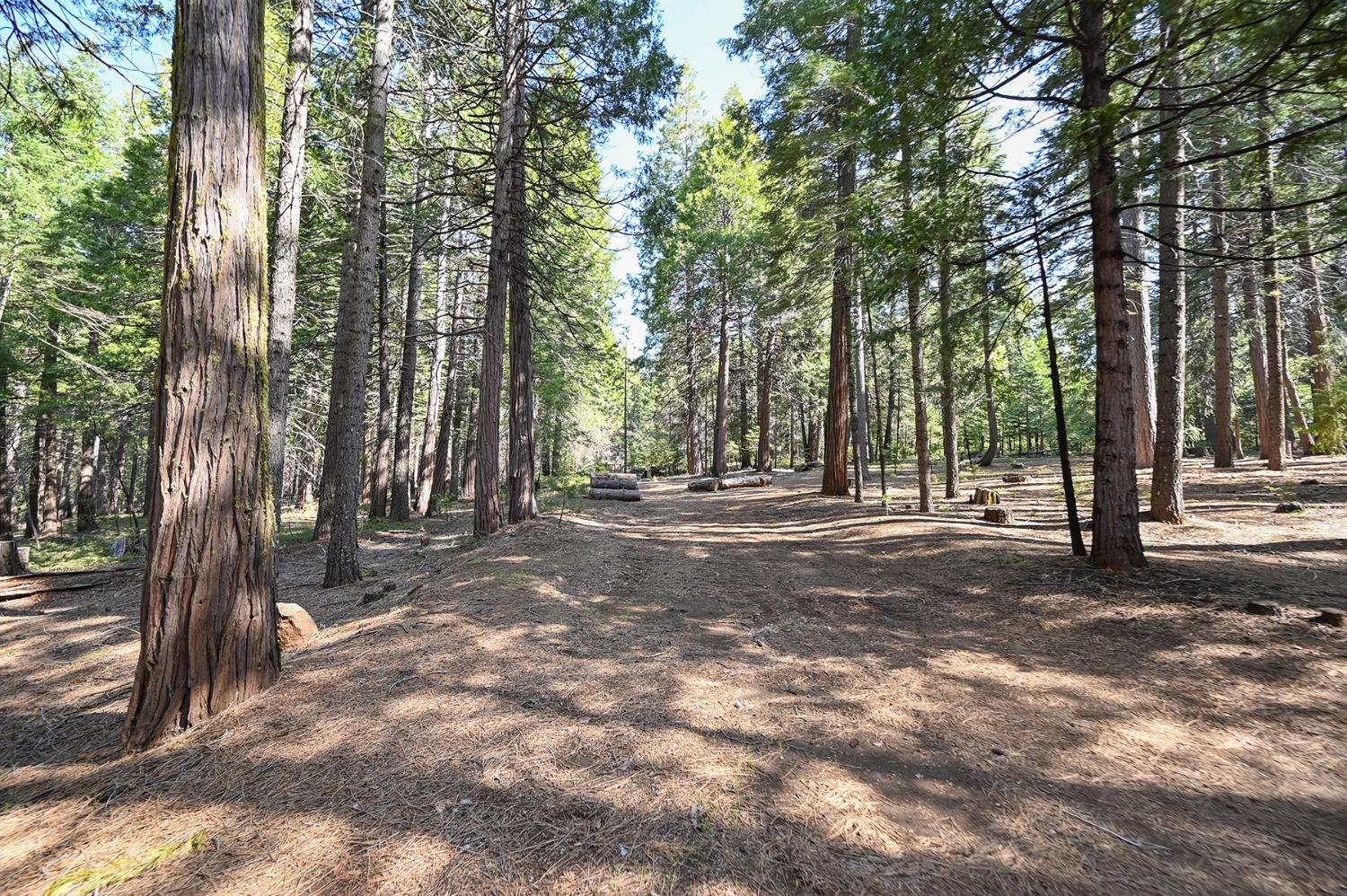 Bela Vista Drive, Pollock Pines, California image 44