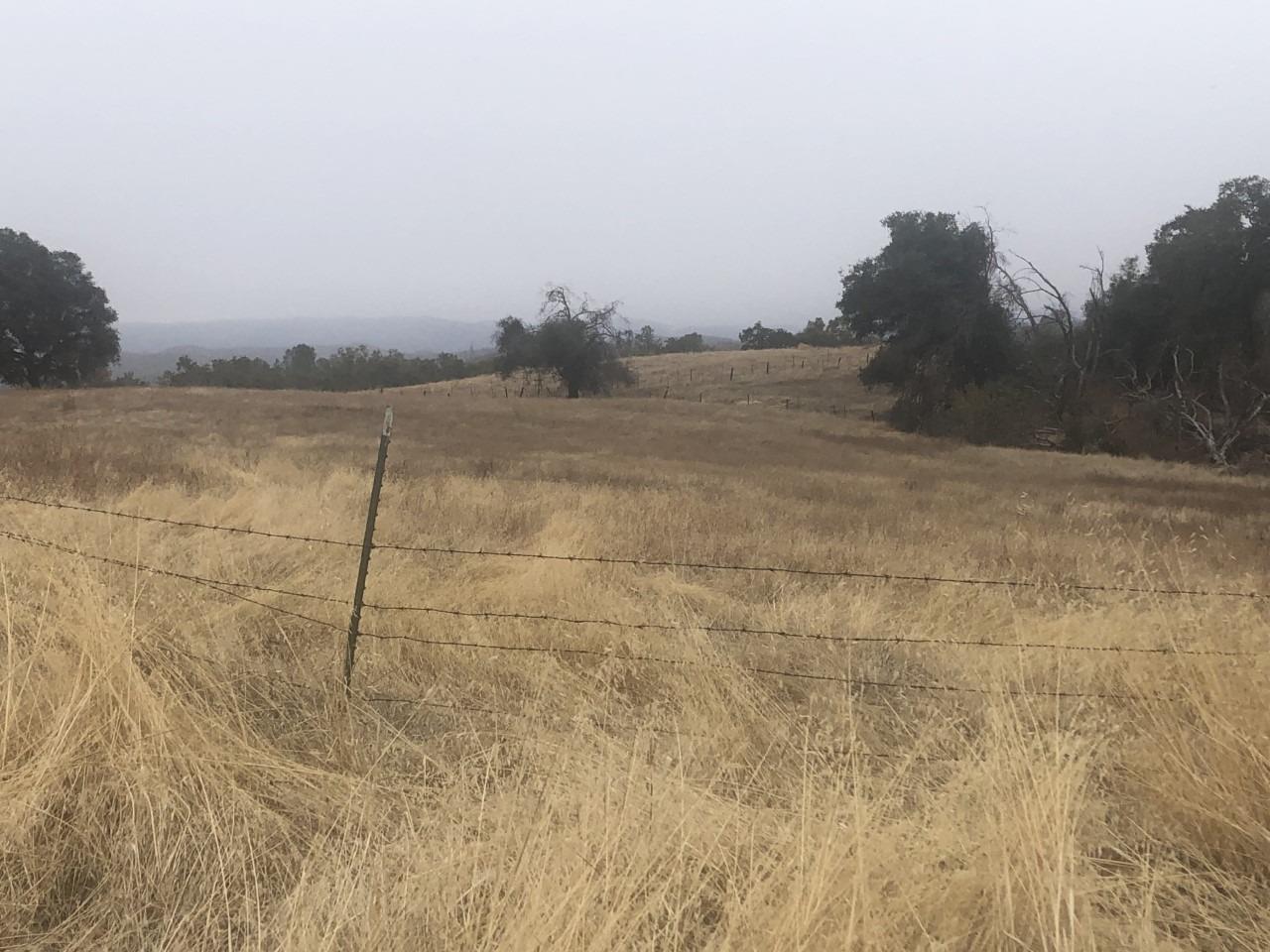 Ponderosa Way, Mokelumne Hill, California image 5