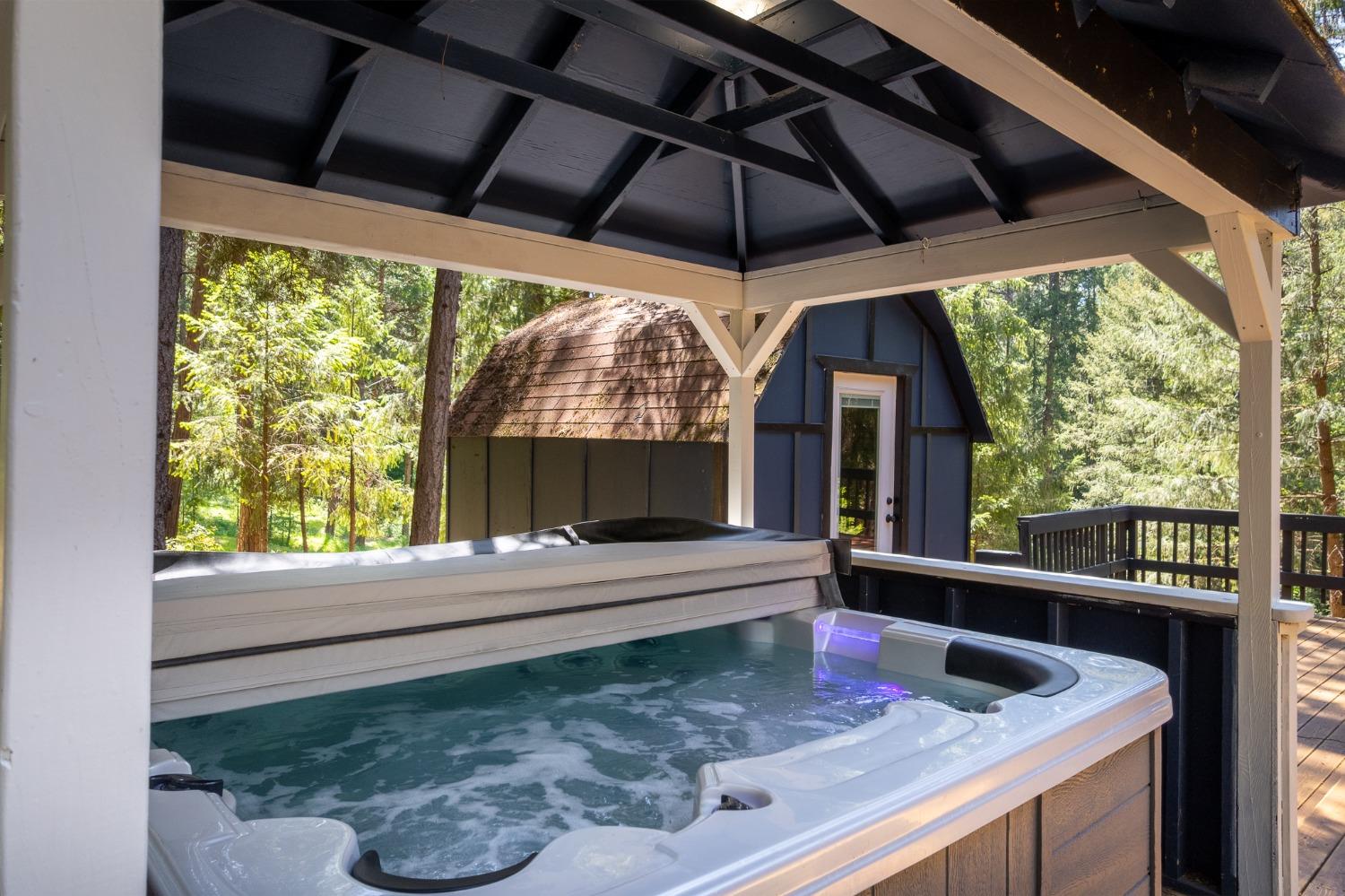 Detail Gallery Image 11 of 54 For 16199 Pioneer Creek Rd, Pioneer,  CA 95666 - 4 Beds | 2 Baths