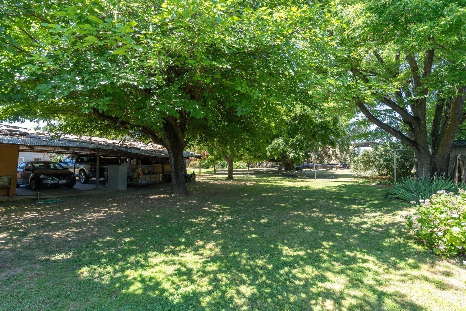 Detail Gallery Image 34 of 38 For 556 D St, Biggs,  CA 95917 - 3 Beds | 2 Baths
